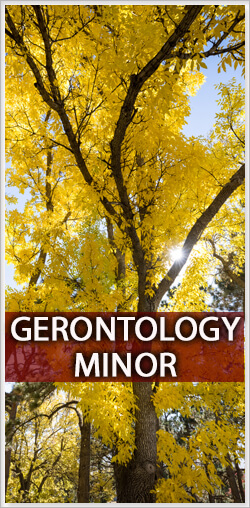 gerontology minor
